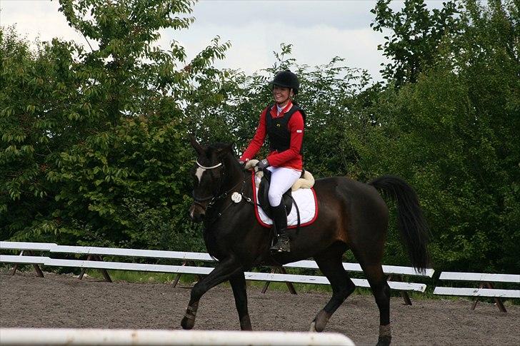 Hollandsk Varmblod Progret - Verdens bedste Progge <3 billede 1