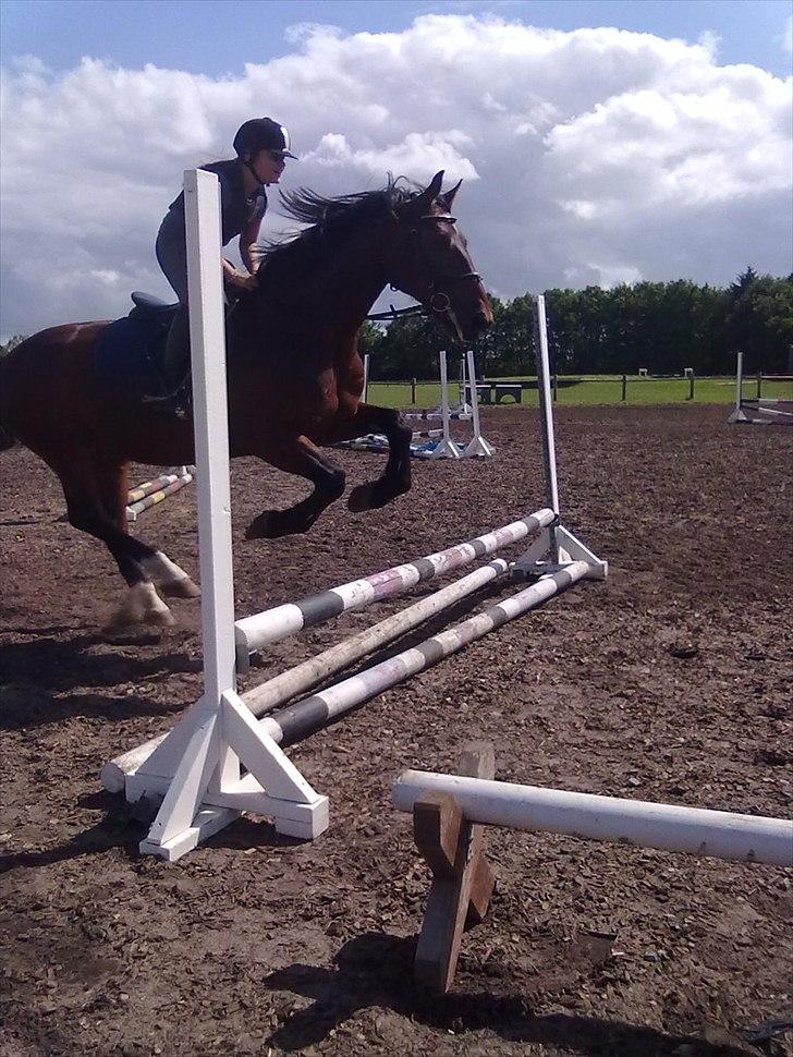 Anden særlig race Øko. - Mig der springer<3 billede 4