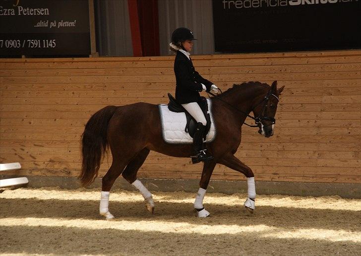 Tysk Sportspony princess billede 14