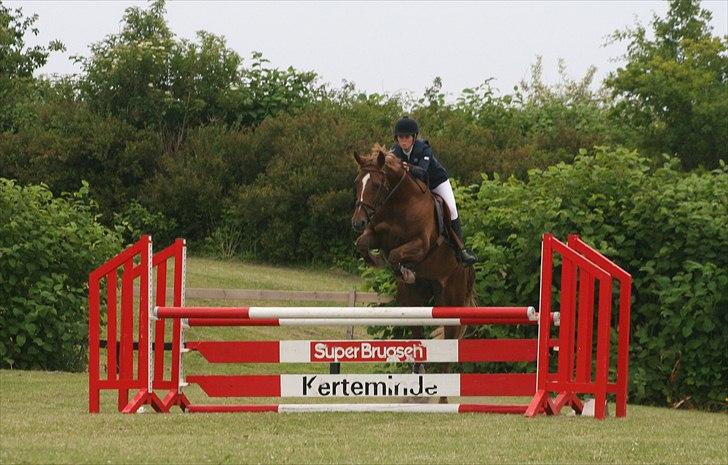 Anden særlig race Donna - LC juni 2011 billede 9