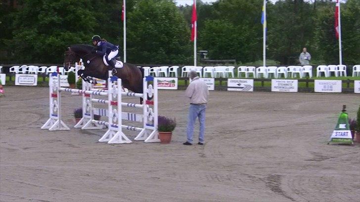 Dansk Varmblod - Caliber - 140cm hos stald Bengtson&Kristoffersen juni 2011 billede 11