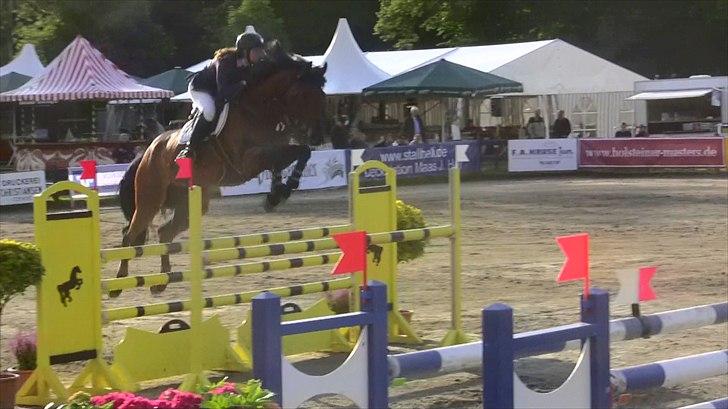 Svensk Varmblod - Lord Nelson (SWB) - 130cm hos stald Bengtson&Kristoffersen juni 2011 billede 15