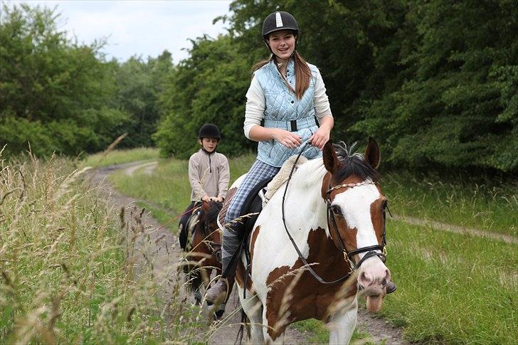 Anden særlig race Tarzan (Udlånshest) - Mig på Tarzan & min søster Laura på hendes parthest Jolly Jumper(; <3 billede 9