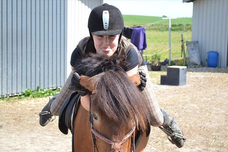 Gotlandsruss | Tarpans Kick billede 5