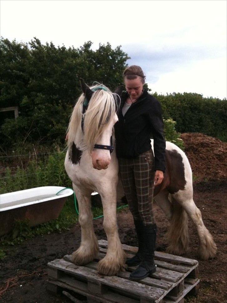 Tinker Disney - min bedste ven [Solgt] billede 3