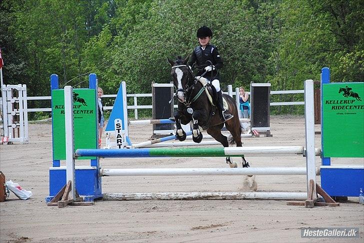 Anden særlig race Holmsgaards super sheik  - weeeeeeeee!! billede 13