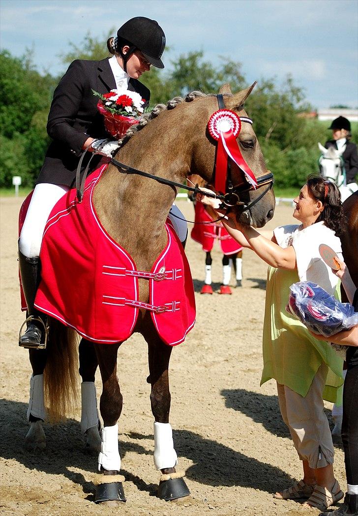 Palomino CHOPALI - Distriktsmester for junior 2011 billede 6