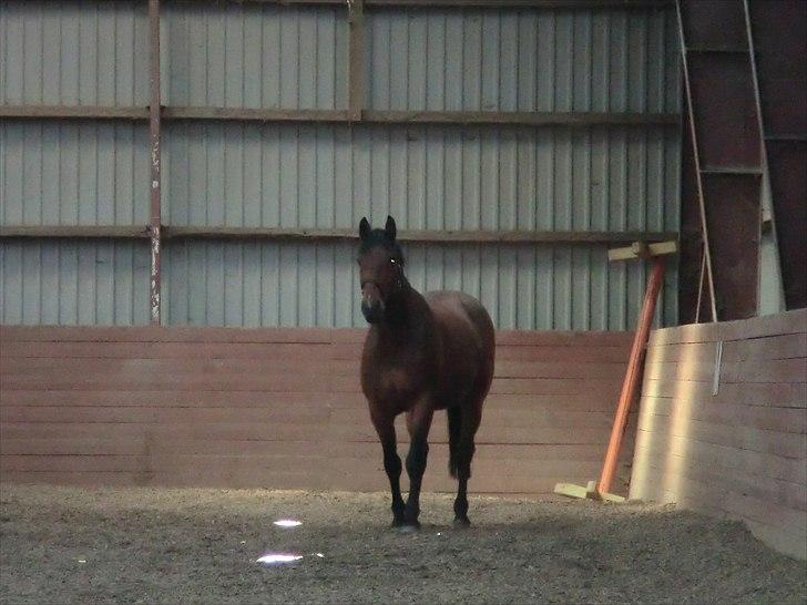 Holstener Lukas  - Se mig! xD :D  billede 7