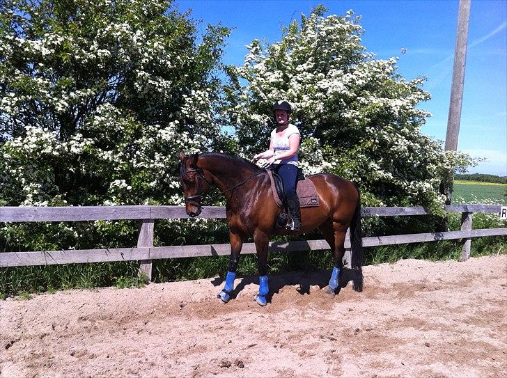 Anden særlig race Jasmin - Rasmin ;p * SOLGT * billede 6