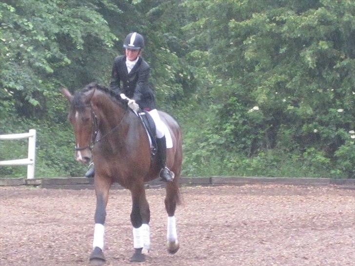 Oldenborg Miro Manifique;) Guldklumpen<3 "solgt";´( - Så tager vi lige en tur af midten<3 billede 2