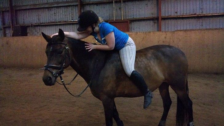 Anden særlig race Tequila alias La Amia billede 4