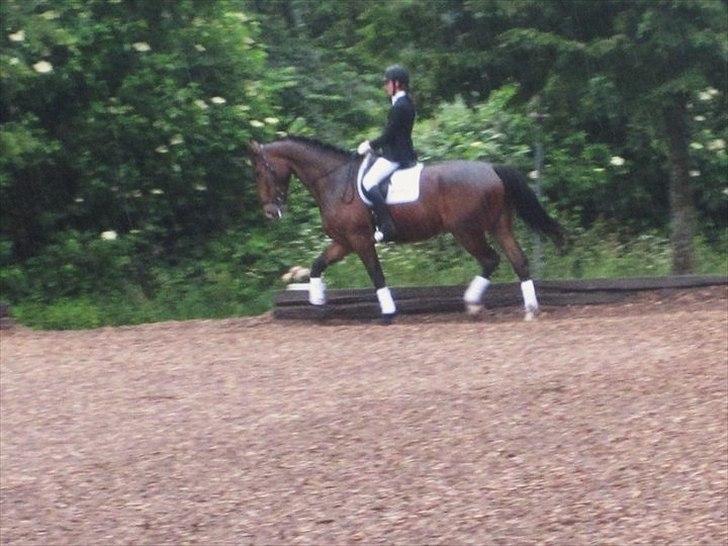 Oldenborg Miro Manifique;) Guldklumpen<3 "solgt";´( - Den lille dreng<3 billede 9