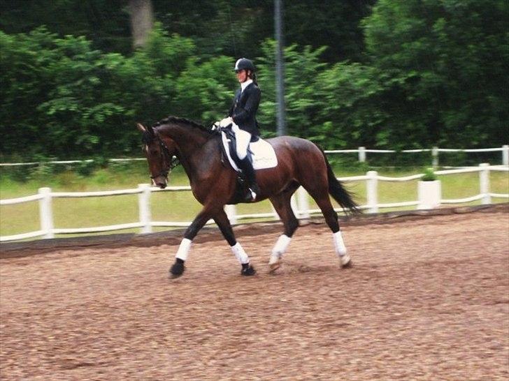 Oldenborg Miro Manifique;) Guldklumpen<3 "solgt";´( -  Dejlig oldbenborg<3 billede 14