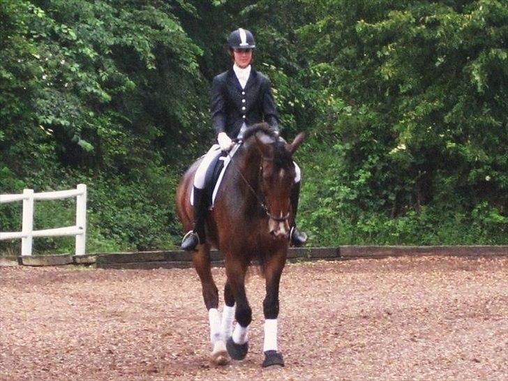 Oldenborg Miro Manifique;) Guldklumpen<3 "solgt";´( - Den smukke<3 billede 16