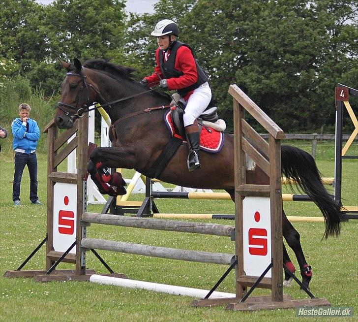 Anden særlig race Chiquita *Bananen* - Chiquitas første springstævne:-) billede 3