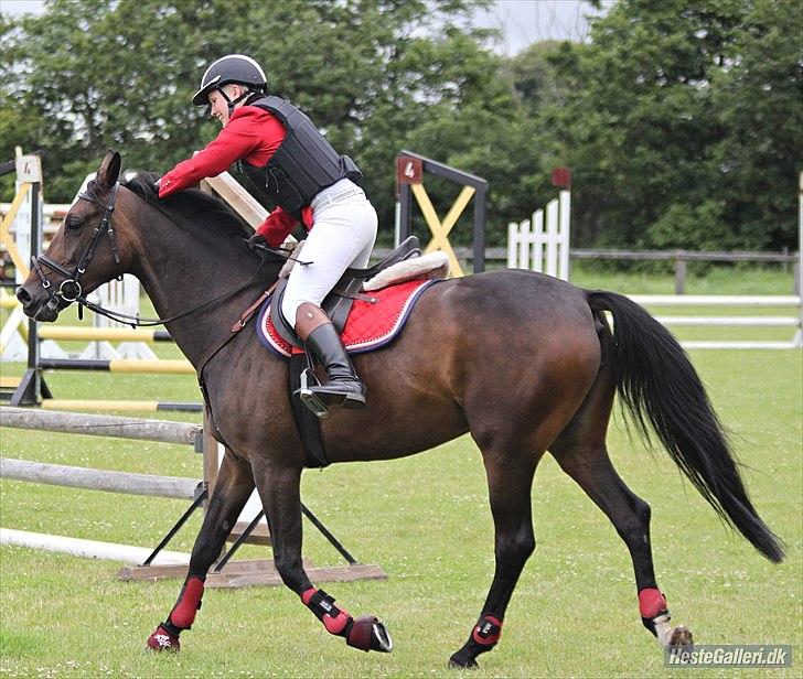 Anden særlig race Chiquita *Bananen* billede 18