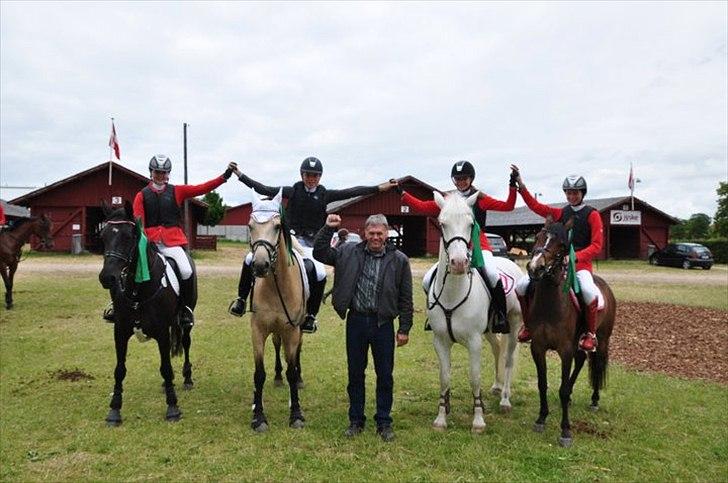 Tysk Sportspony Inaara A-Pony - DM 2011 ma* red som den bedste på mit hold med 2x nulrunder billede 7