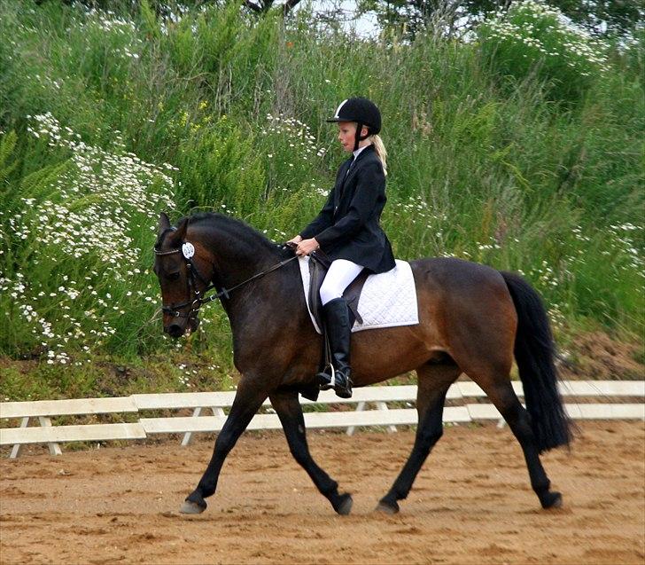 Anden særlig race Vestergaardens Malou billede 17