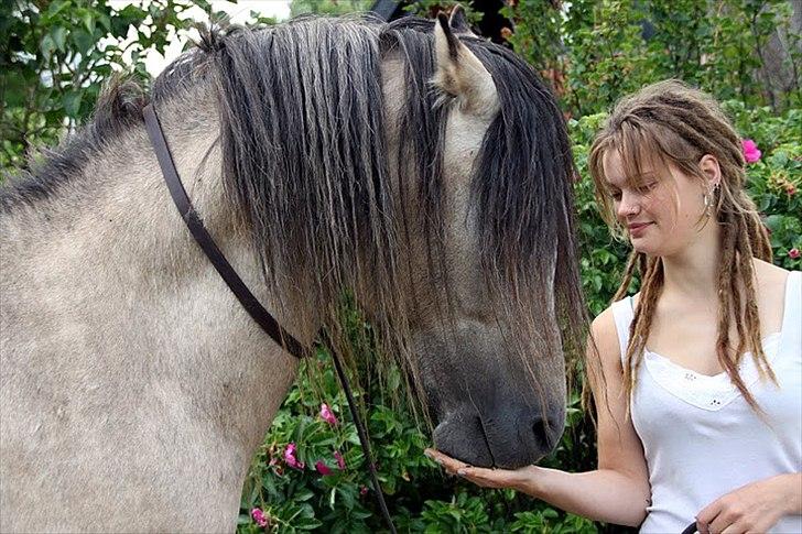Anden særlig race chinosch (MiTho's  cosi) billede 6