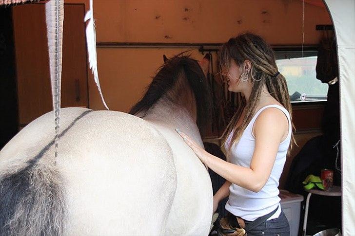 Anden særlig race chinosch (MiTho's  cosi) billede 7