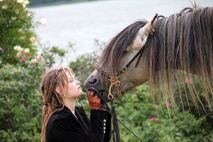 Anden særlig race chinosch (MiTho's  cosi) billede 10