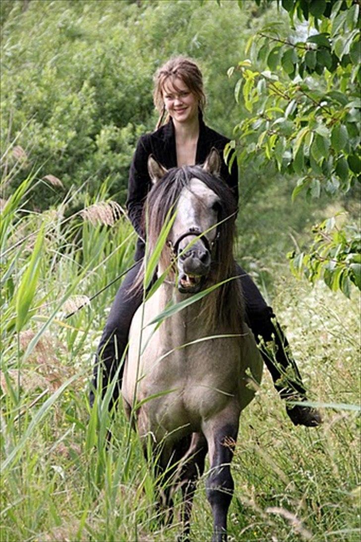 Anden særlig race chinosch (MiTho's  cosi) billede 11