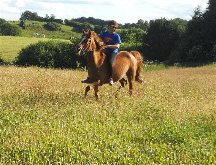 Anden særlig race Miss Mabel I ILU I - Min skat. <3
-Sommerferien, 2011. billede 17