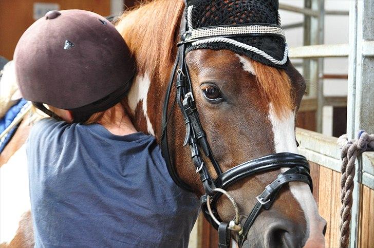 Pinto Emir (part) - Et vendskab i mellem hest og menneske :D billede 3