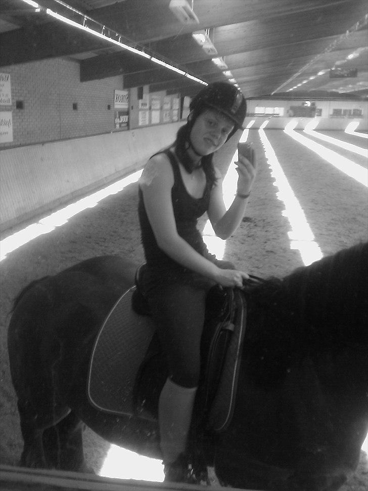 Belgier stenholmgårds Jeppe  charmetrolden <3 - jeg synes lige at jeg ville ta et billede selv inde i den mellem hal billede 13