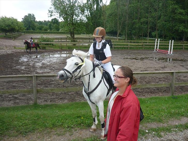 Welsh Mountain (sec A) Atilla ~ Soulmate ~ - 
In the end, you are the most perfect creature for me♥:* billede 15