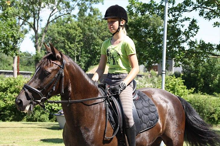 Anden særlig race Damgårdens La Coer! DP<3 - Velkommen till Damgårdens La-Coer's profil!(;<3
-Lidt hygge efter træning<3
-Fotograf: Signe billede 1