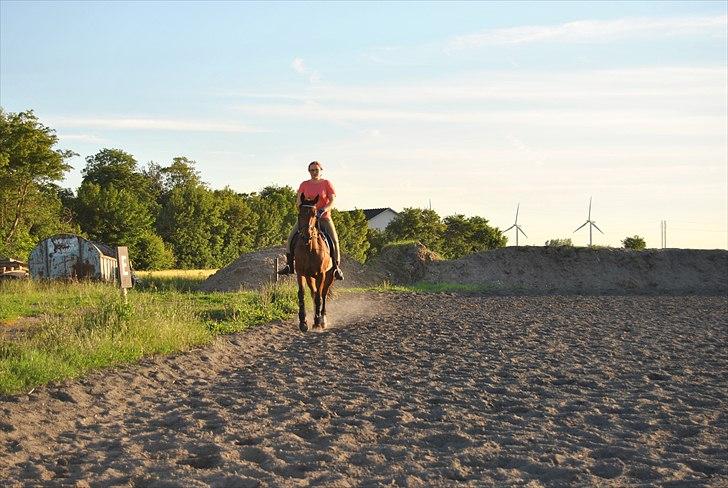 Traver Oscar Fønix billede 9