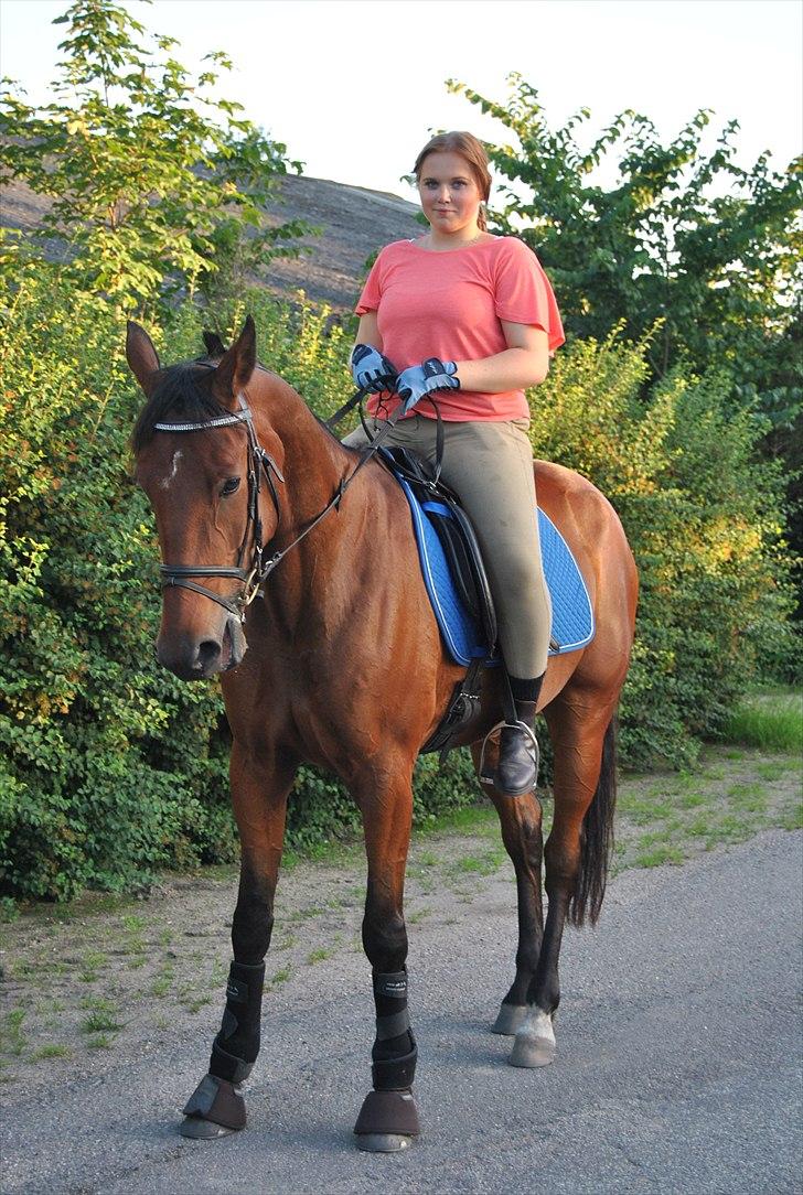 Traver Oscar Fønix billede 12