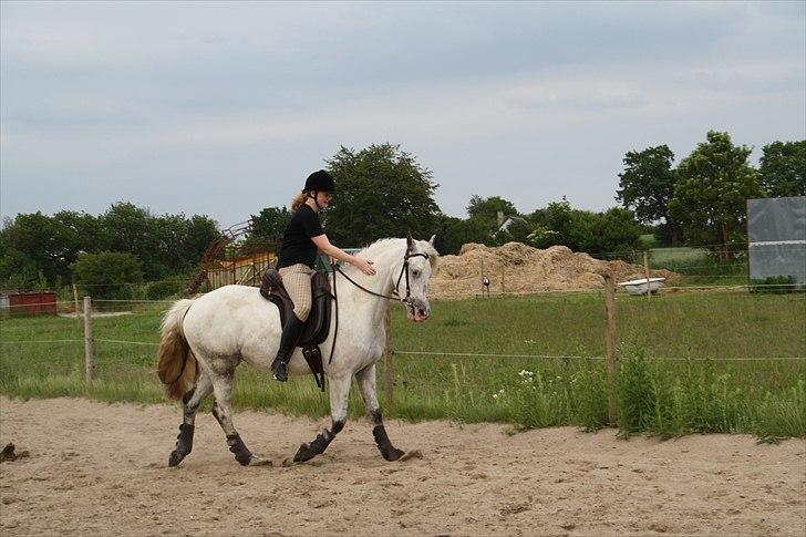 Anden særlig race Athena - Min dygtige prinsesse :) billede 13