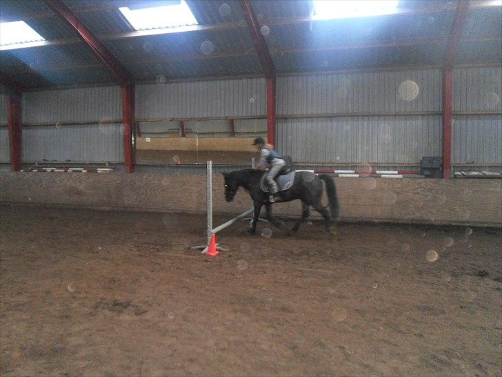 DSP Starligth!<3 - Smukke!<3 billede 11