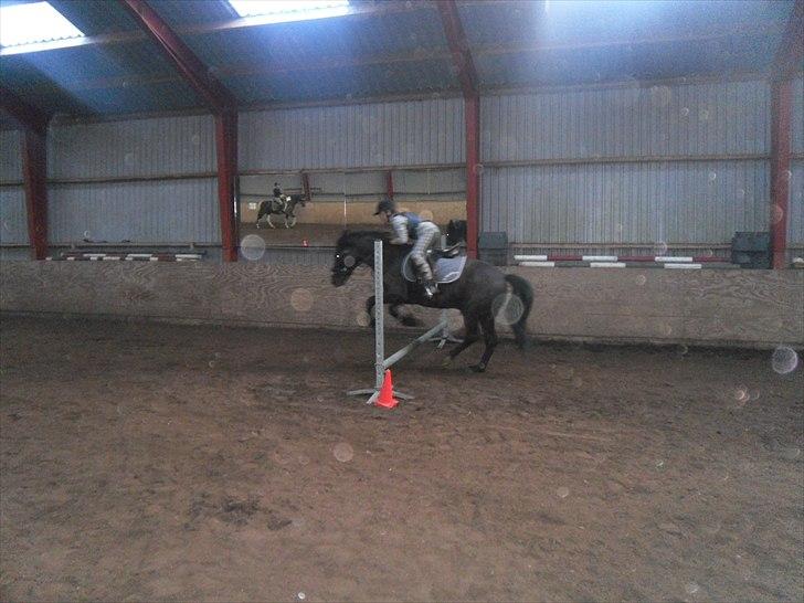 DSP Starligth!<3 - <33 billede 12