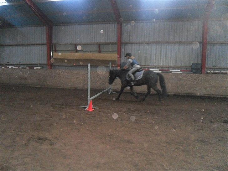 DSP Starligth!<3 billede 13