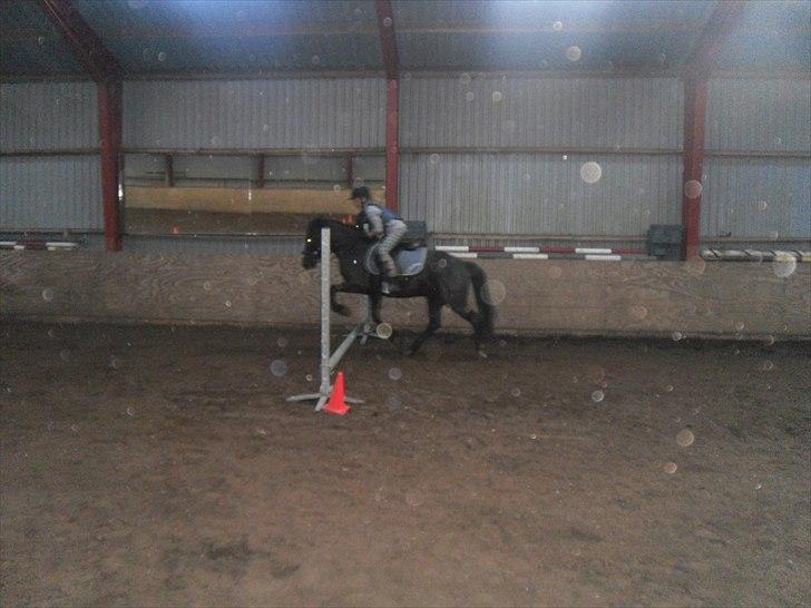 DSP Starligth!<3 billede 14