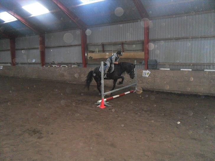 DSP Starligth!<3 billede 15