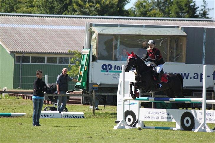 Welsh Pony af Cob-type (sec C) Tabaluga 167 - Taba og jeg Lb Brønderslev<33;-*.
STJERNEPONY!!!!!<3333 billede 13