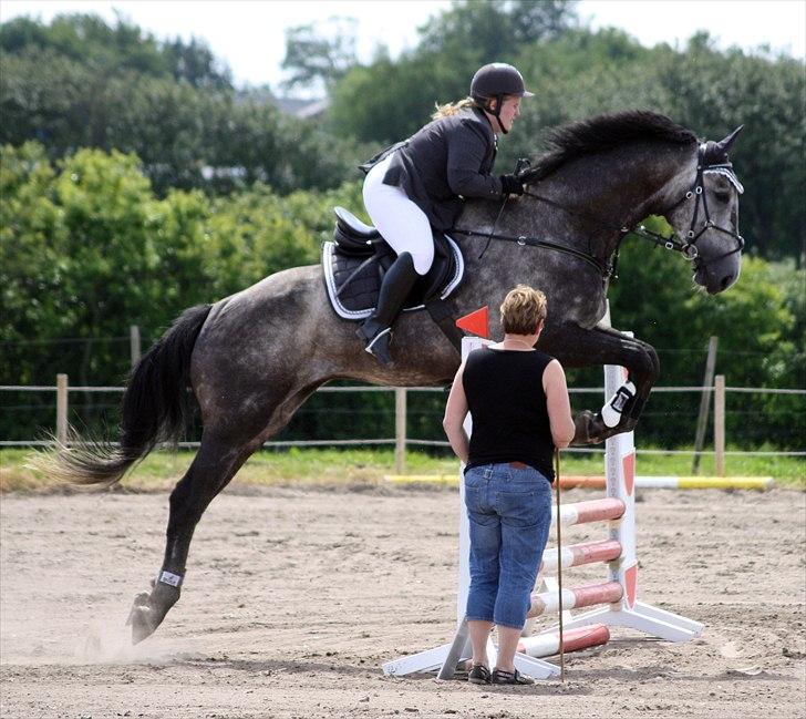 Holstener Magic Ghost  - Billedet er venligst taget af Charlotte Kvist :) billede 12