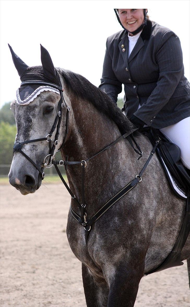 Holstener Magic Ghost  - Billedet er venligst taget af Charlotte Kvist :) billede 17