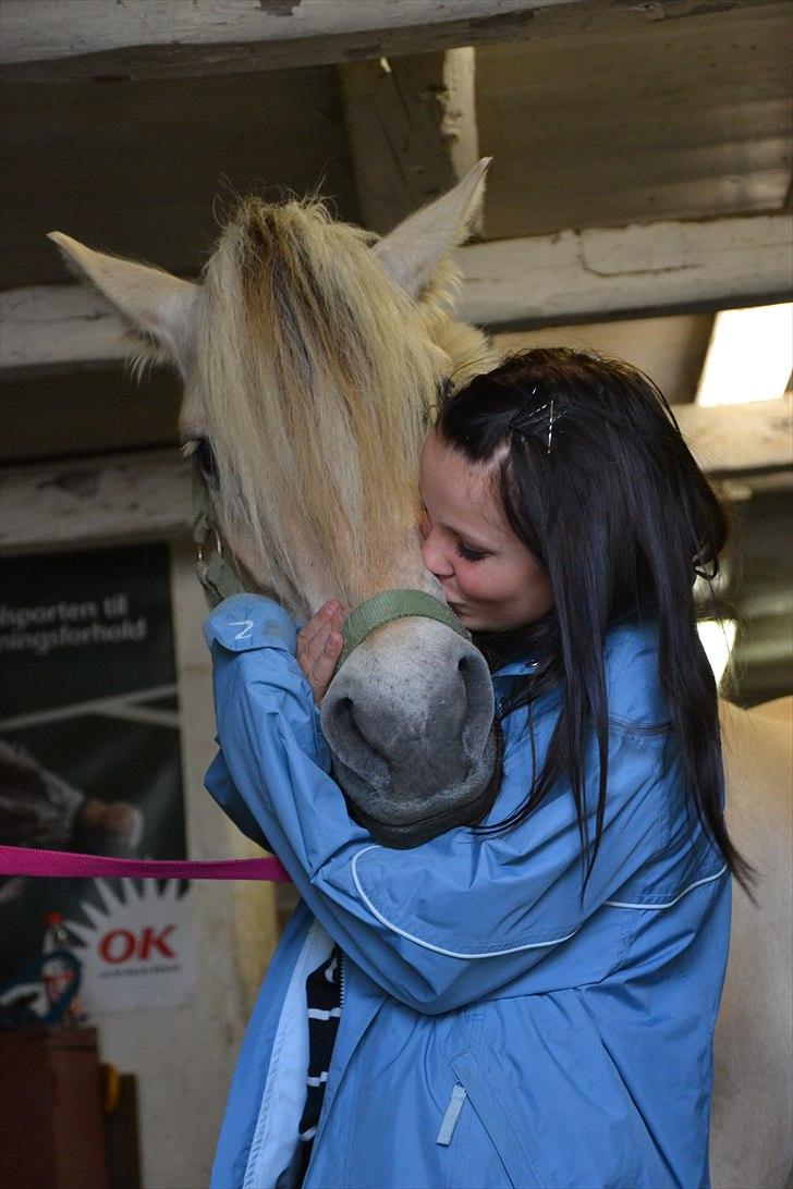 Fjordhest Susse - SAVNET! - Det sidste kys nogensinde. :-(.
 billede 14
