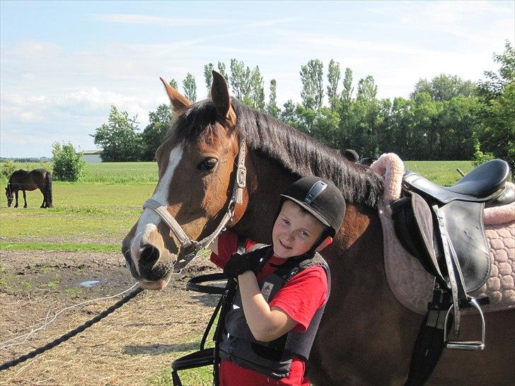 New Forest Mynte Af Bakken - Mulles halvpart<3 Min kære lillebror, som er begyndt at ride Mynte.  billede 11