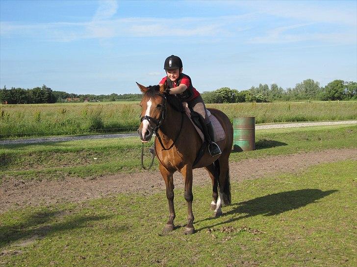 New Forest Mynte Af Bakken - Nuuue' tihi ... De er så søde sammen xD billede 16