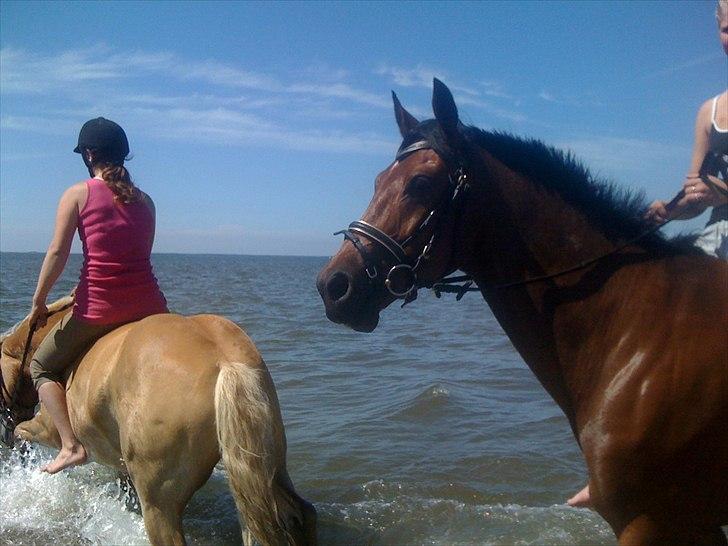 Anden særlig race Frederik Eliselund<3 billede 17