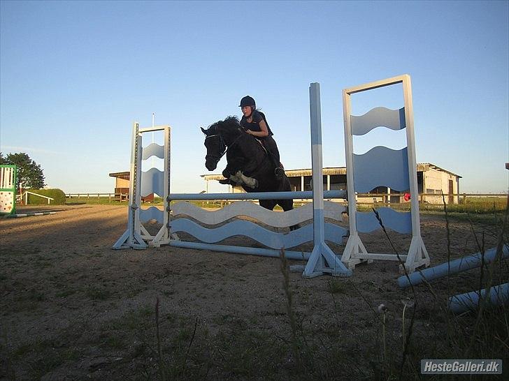 Anden særlig race Cirkeline *Tricks ponyen* - Springtrænning med Emilie(-: billede 3
