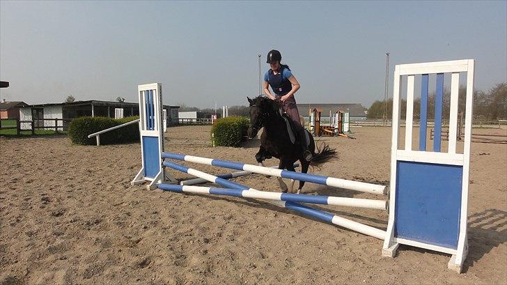 Anden særlig race Cirkeline *Tricks ponyen* - Annika & Cirkeline billede 20
