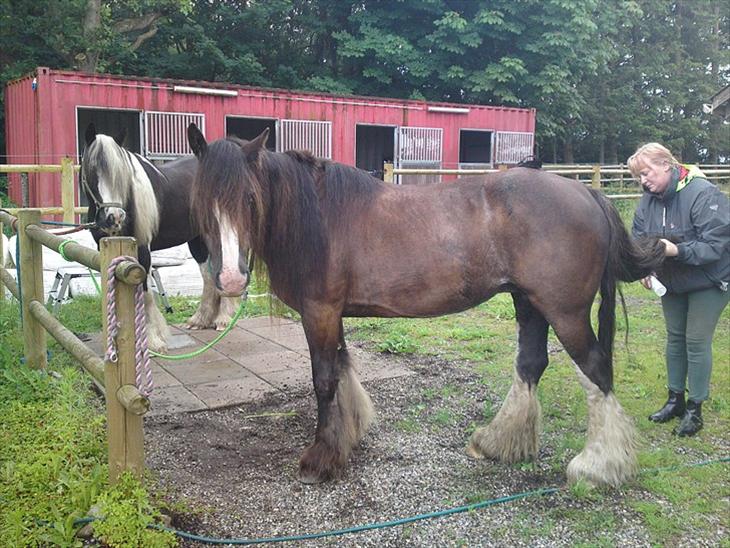 {{currentPhoto.altText}} billede {{currentPhoto.number}}