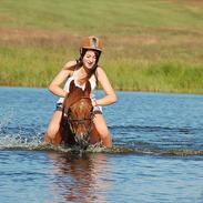 Anden særlig race Zeus (himmelhest) <3..